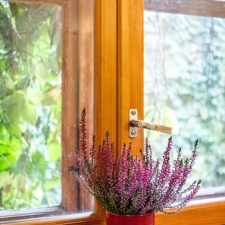 Dream - Bright 2-bedroom 2-floor Old Town