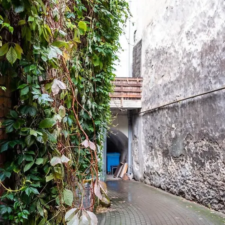 Dream - Bright 2-bedroom 2-floor Old Town 公寓