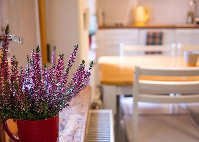 Dream - Bright 2-bedroom 2-floor Old Town Korter *