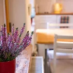Dream - Bright 2-bedroom 2-floor Old Town Apartmán *