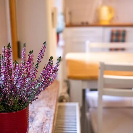Dream - Bright 2-bedroom 2-floor Old Town Appartamento *